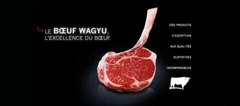 il WAGYU - SERVIFRESCO